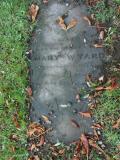 image of grave number 229093